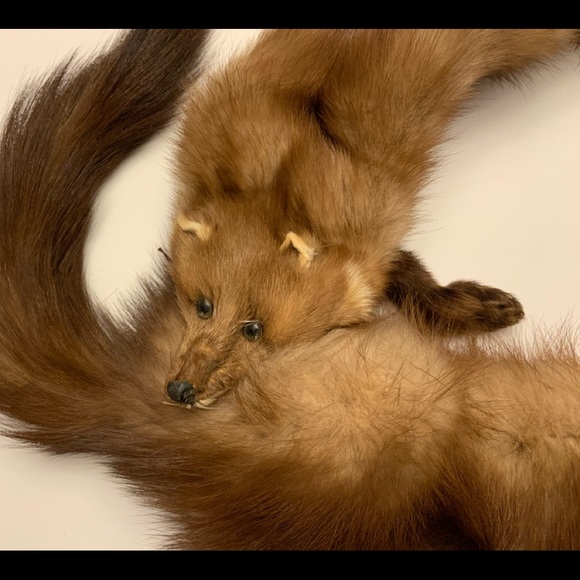 Antique Accessories - Mink fur stole scraf